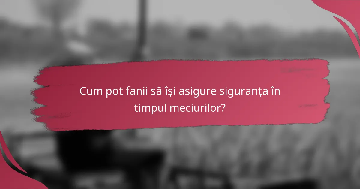 Cum pot fanii să își asigure siguranța în timpul meciurilor?