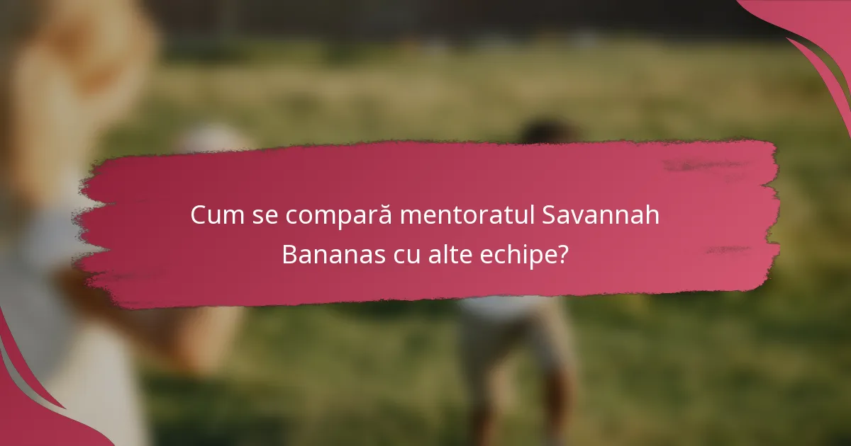 Cum se compară mentoratul Savannah Bananas cu alte echipe?